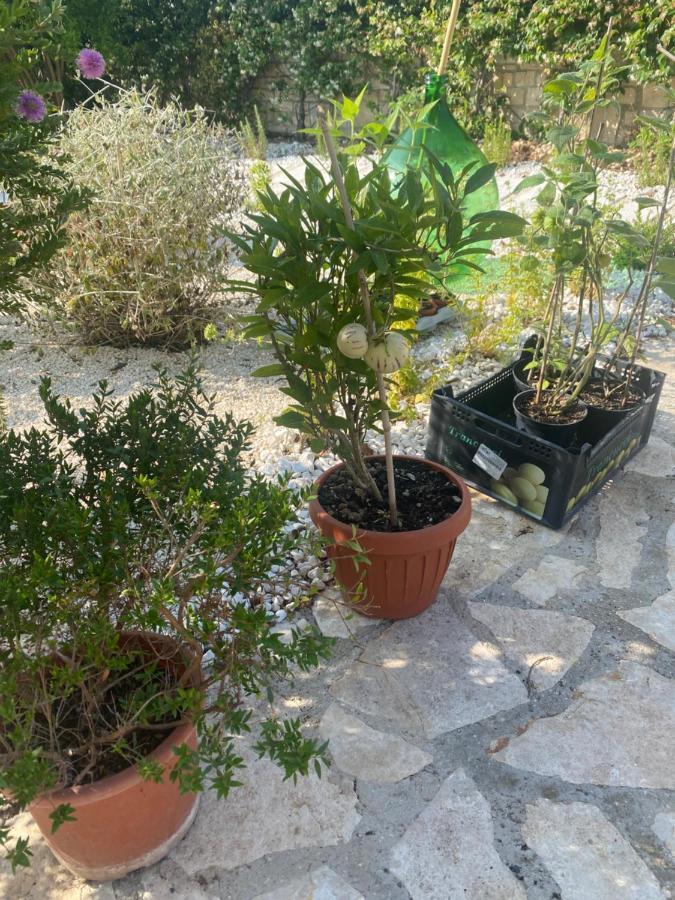 トラーニ Apulia Casa E Cucina Bed & Breakfast エクステリア 写真